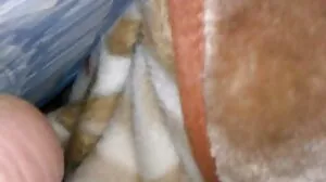 Slim4K: Seks spontan dengan BF tamat untuk minx nakal dengan cerita lucaah creampie di PornHD