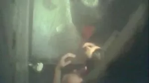 Brazzers: Pesta Tiram yang cerita basah lucah Membosankan Menjadi Pesta Fuckfest Besar Dengan Jenna Starr Di PornHD